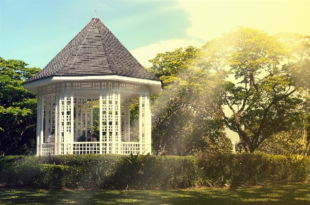 Foto árvore mansão
 casa luz solar