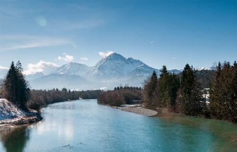 風景 木 自然 森 写真