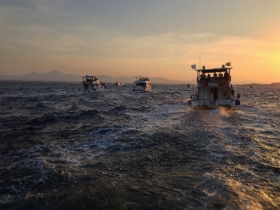 ビーチ 海 海岸 海洋 写真