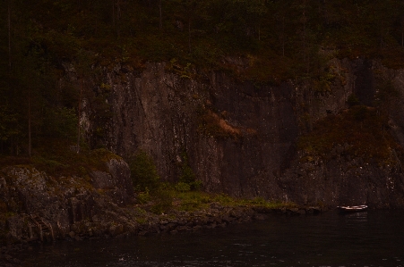 Nature forest rock wilderness Photo