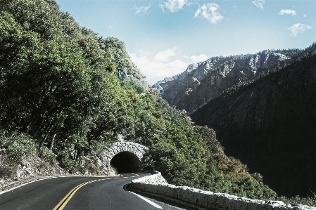 Foto Pohon gunung jalan raya