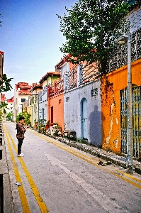 Tree pedestrian road street Photo