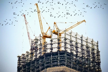 鳥 建築 超高層ビル 都市 写真