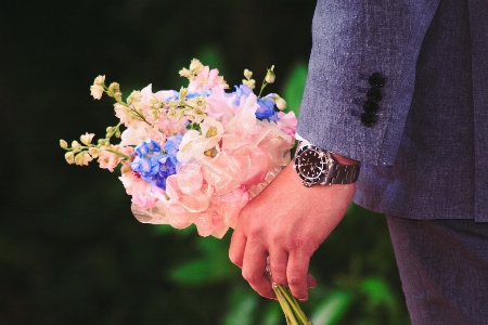 Hand nature branch blossom Photo