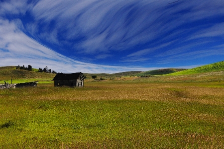 風景 自然 草 地平線 写真