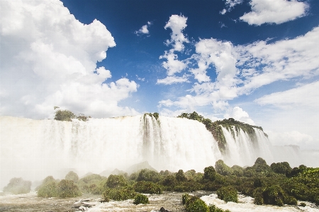 Foto Paisaje mar árbol agua