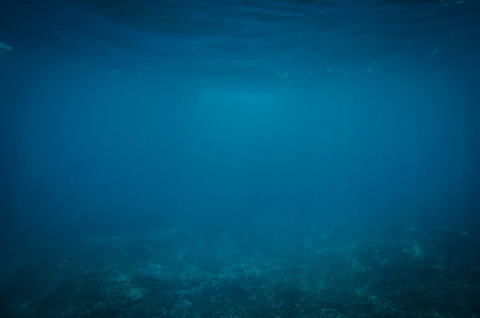 Mare acqua oceano leggero