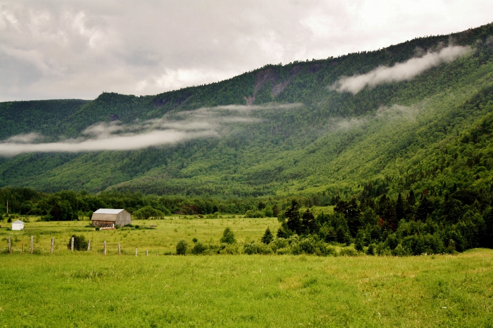 Landscape nature grass mountain