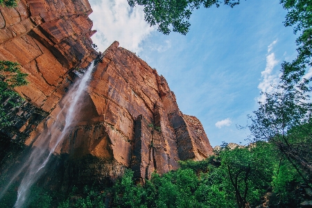 Tree nature rock waterfall Photo