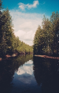 Foto Paesaggio albero acqua natura