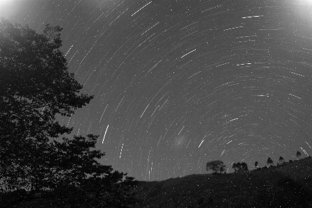 Foto Paesaggio all'aperto leggero bianco e nero
