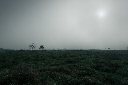 Landscape nature grass outdoor Photo