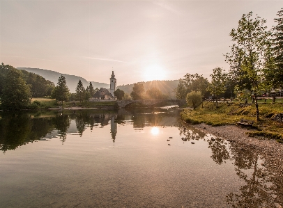 風景 木 水 自然 写真