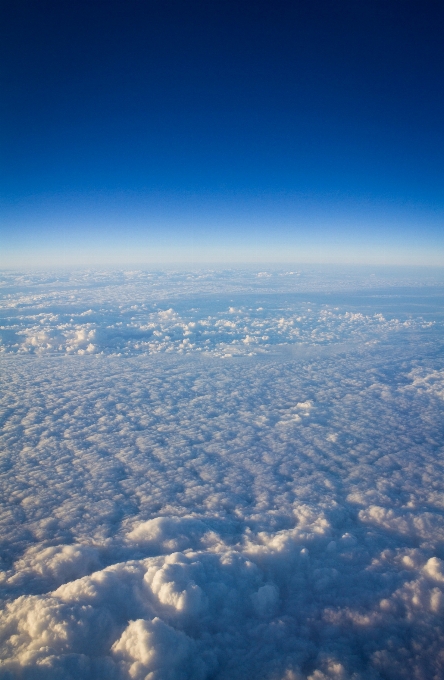 Horizon wing cloud sky