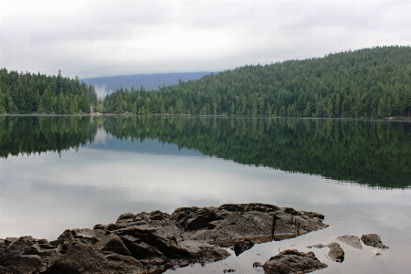 Zdjęcie Krajobraz drzewo woda natura