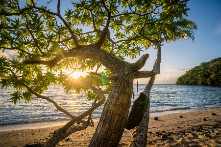 Beach landscape sea coast Photo