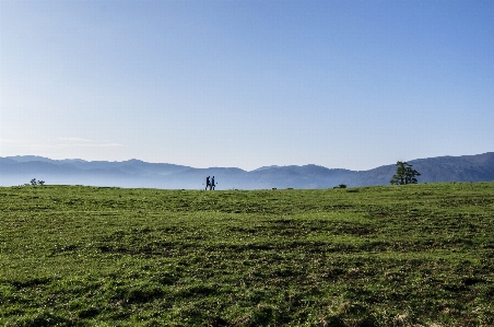 Landscape nature grass outdoor Photo