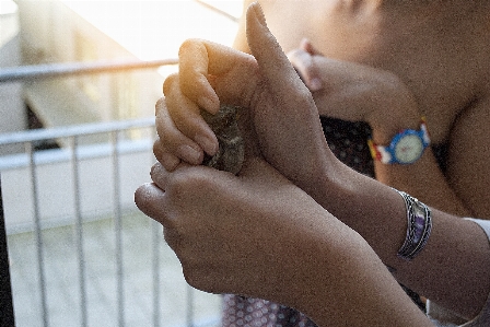 Hand bird girl animal Photo