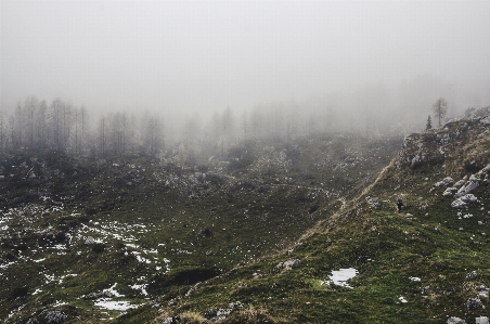 Foto Paisagem floresta ar livre região selvagem
