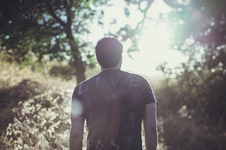 Foto Hombre árbol bosque gente