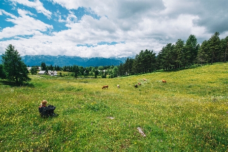 Foto Lanskap rumput gurun
 gunung