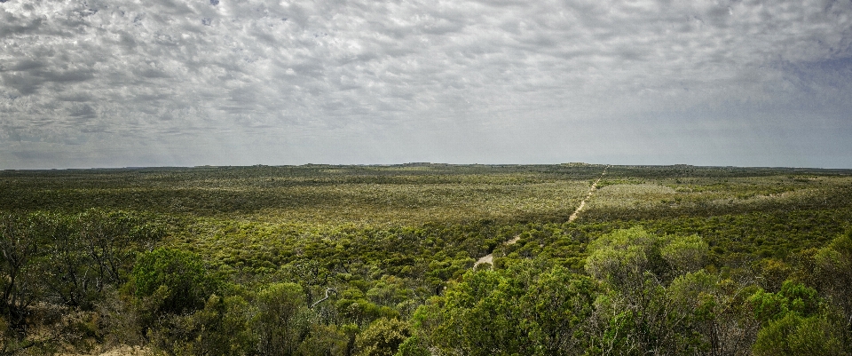 Landschaft meer küste natur