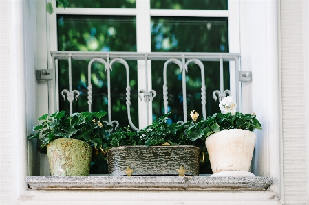 Flower window home balcony Photo