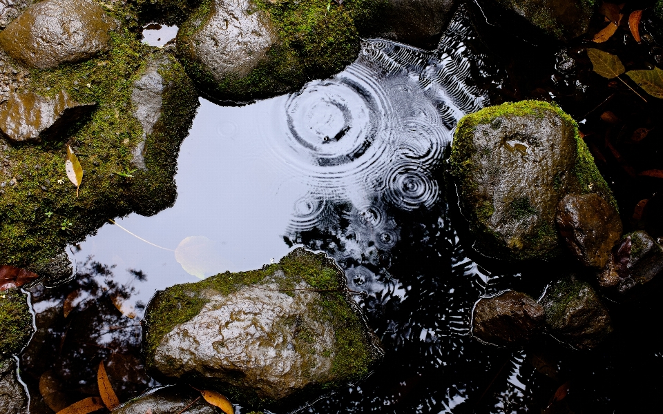 水 自然 rock 降低