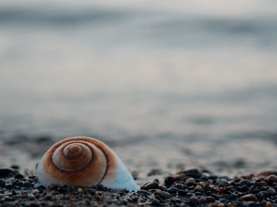 Strand meer wasser sand