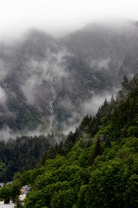 Landscape tree nature forest Photo