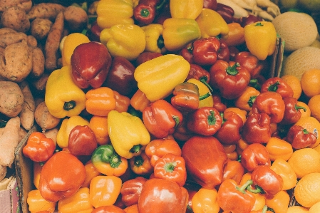 Plant fruit food pepper Photo