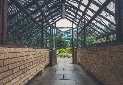 Architecture wood window building Photo