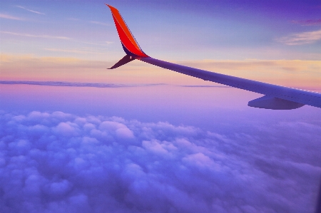 Wing cloud sky sunrise Photo