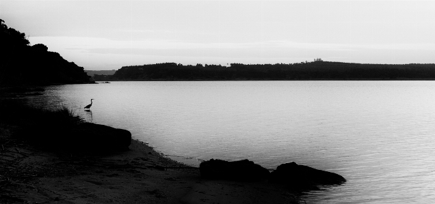 Sea coast water rock Photo