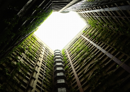 ライト 建築 日光 建物 写真