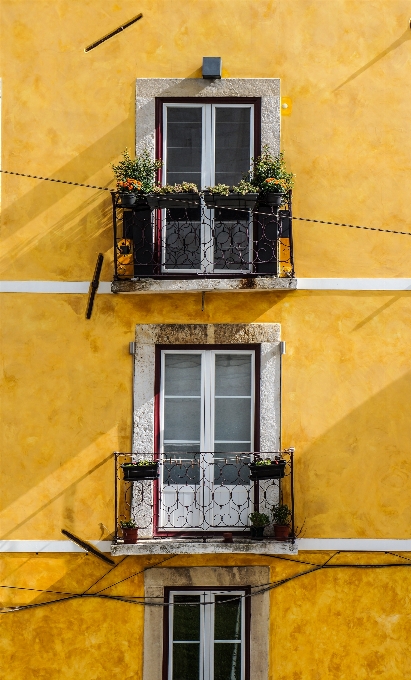 Die architektur holz haus fenster