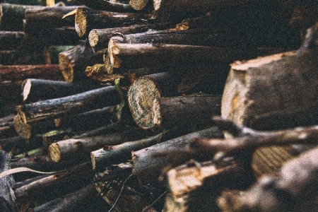 Wood pile vehicle stack Photo