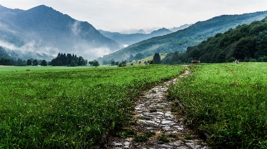 Landscape path grass mountain Photo