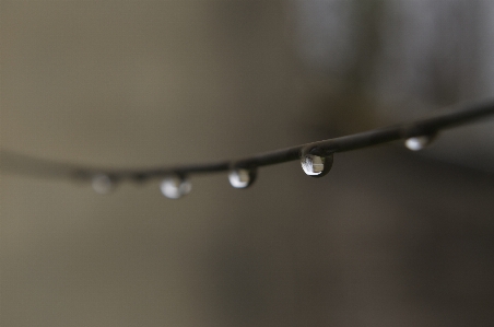 Water drop dew light Photo