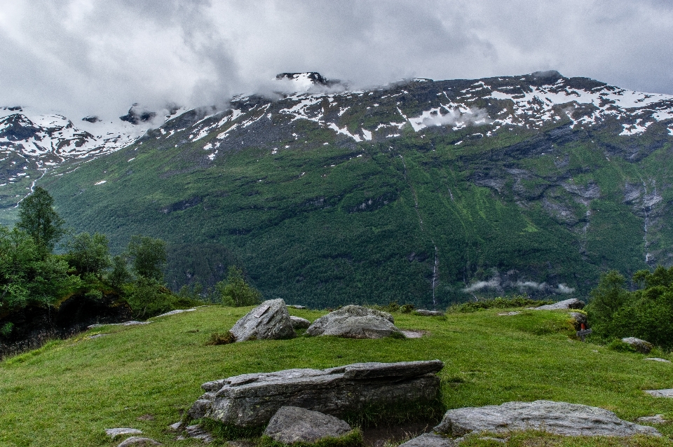 Landschaft baum rock wildnis
