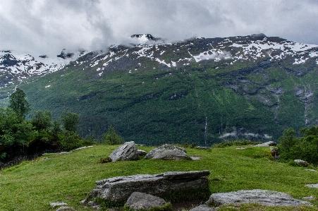 Landscape tree rock wilderness Photo