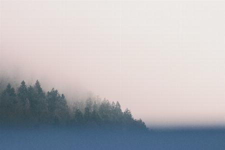 Forest horizon mountain cloud Photo