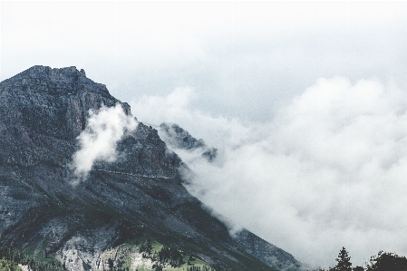 Ağaç rock dağ bulut Fotoğraf