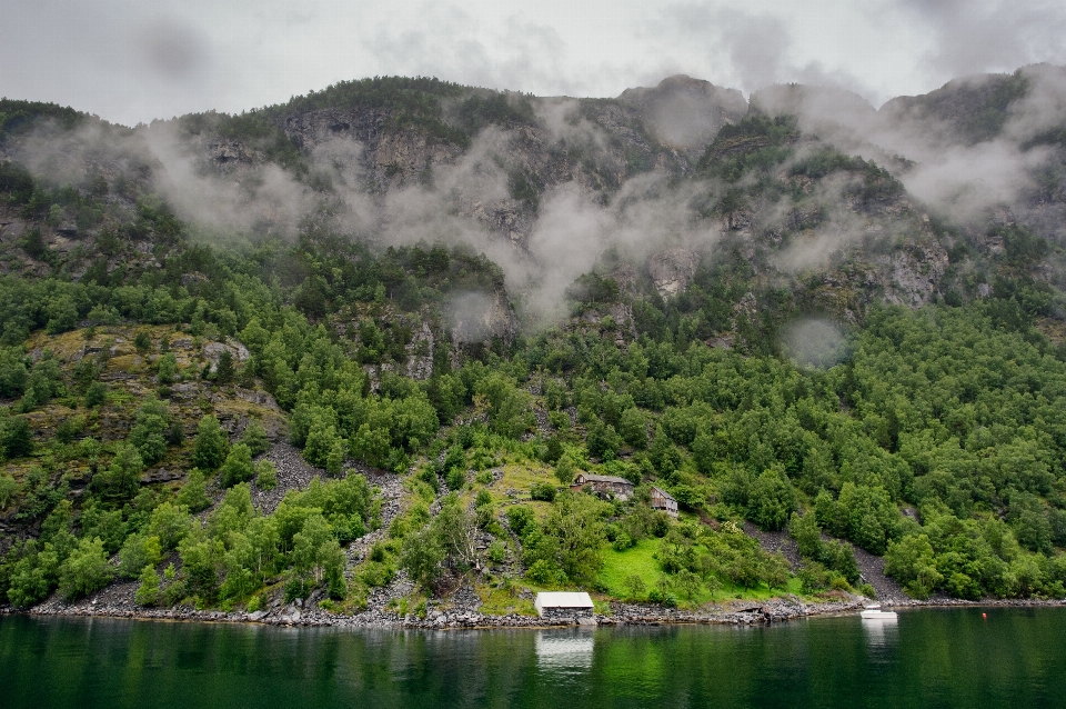 Landschaft wasser natur wald