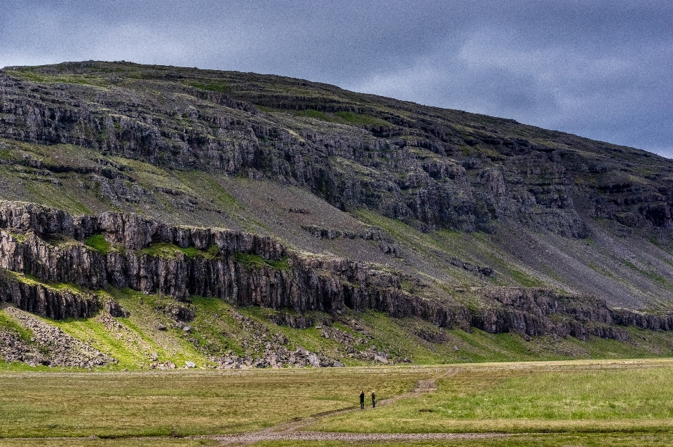 Landschaft natur gras rock