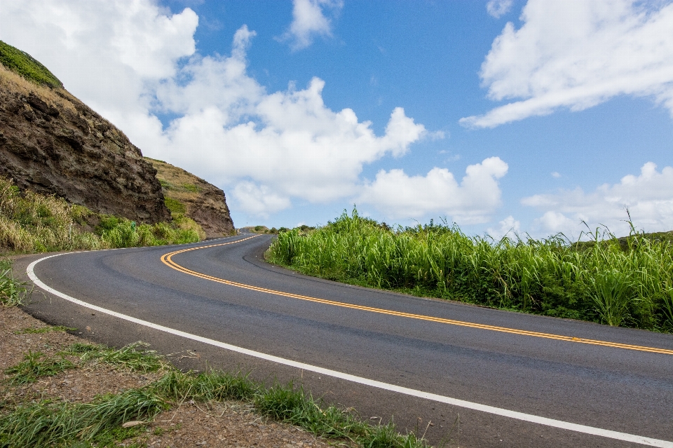 Grass road highway driving