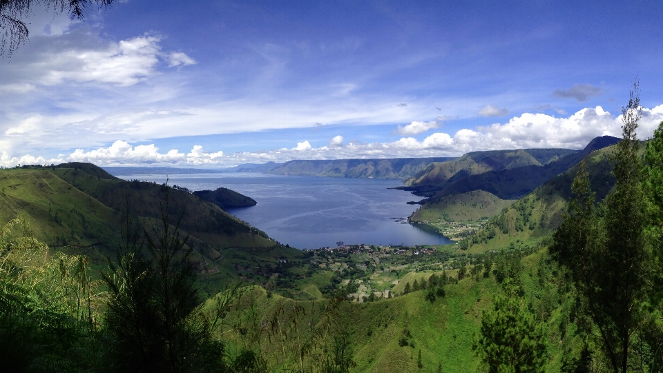 Paisagem árvore água região selvagem
