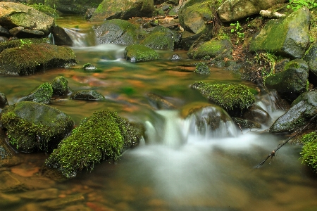 Landscape water nature forest Photo