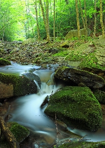 Landscape tree water nature Photo