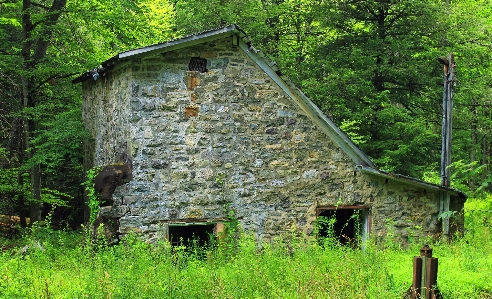 Forest hiking house building Photo